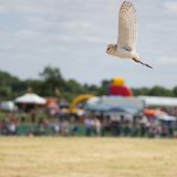 Alan_Rampton_Photography-163
