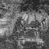 Alan_Rampton_Photography-180